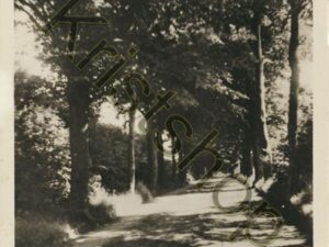 Oudemirdum - Beukenlaan  [001-0374