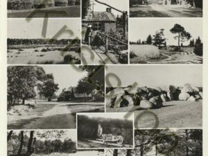 Mooi Drente - meerluik  [001-0392