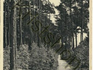 Nunspeet - Eibertjespad  [001-0447