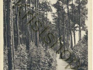 Nunspeet - Eibertjespad  [001-0457