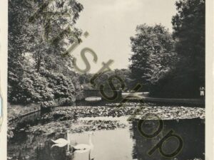 NatPark - De Hoge Veluwe - Vijver bij Stenen Brug [001-0460