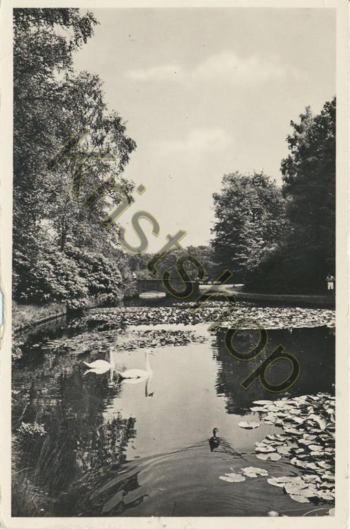 KRST001-0460_0.jpg NatPark - De Hoge Veluwe - Vijver bij Stenen Brug [001-0460
