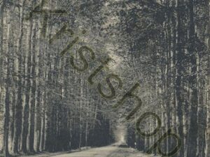 De Steeg - Middachterlaan [001-0478