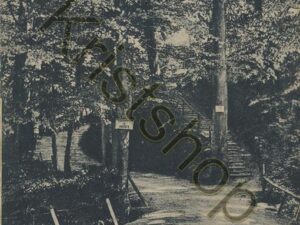 Montferland - Rustieke trap  [001-0484