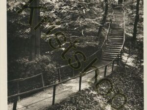 Montferland - Rustieke Trap  [001-0488