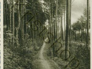 Nunspeet - Eibertjespad  [001-0491