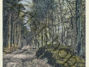 t Harde [001-0635