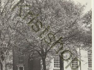 Borsele - Ned, Herv, Kerk [001-0674