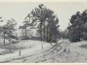 Oosterhout - Bosweg Katjeskelder [001-0715