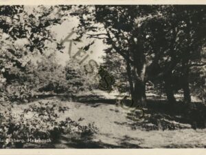 Hardenberg - Haarbosch [001-0720