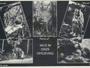Oosterhout - Katjeskelder [001-0722