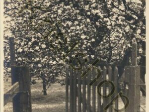 Arkel - Jeugdherberg DE PINKSTERBLOEM [001-0817