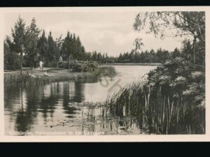 Groningen - Natuurschoon in het Stadspark [001-0987