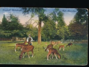 Dordrecht - Hertenkamp - Park Merwesteijn [001-1006