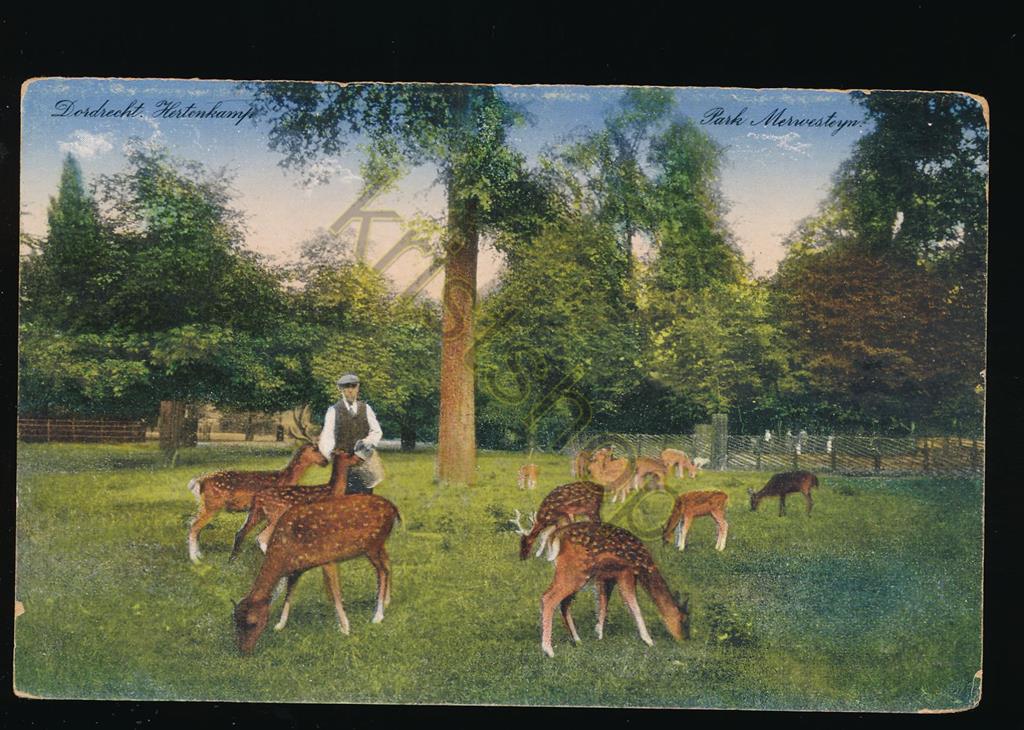 KRST001-1006_0.jpg Dordrecht - Hertenkamp - Park Merwesteijn [001-1006