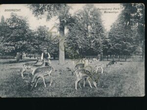 Dordrecht - Hertenkamp Park Merwesteijn [001-1099