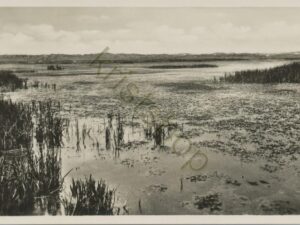 Texel - De Geul [001-1199