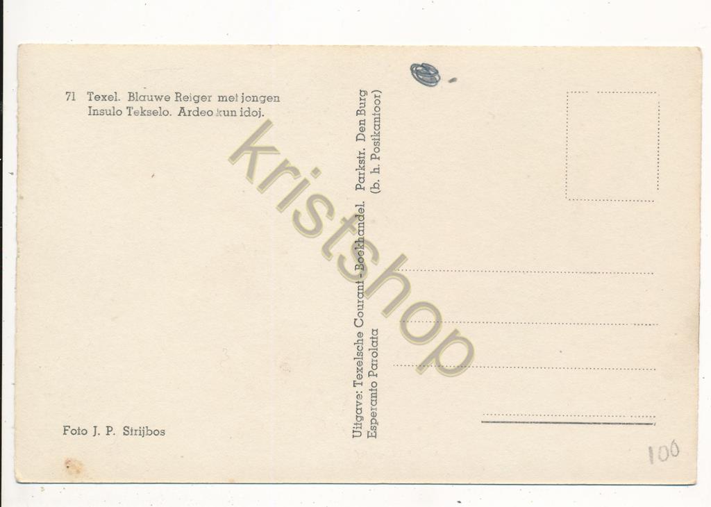 KRST001-1200_1.jpg Texel - Blauwe Reiger met jongen [001-1200 - Afbeelding 2