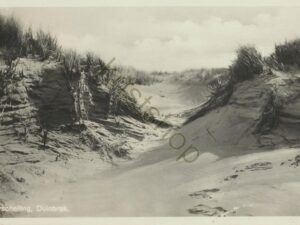 Terschelling [001-1349