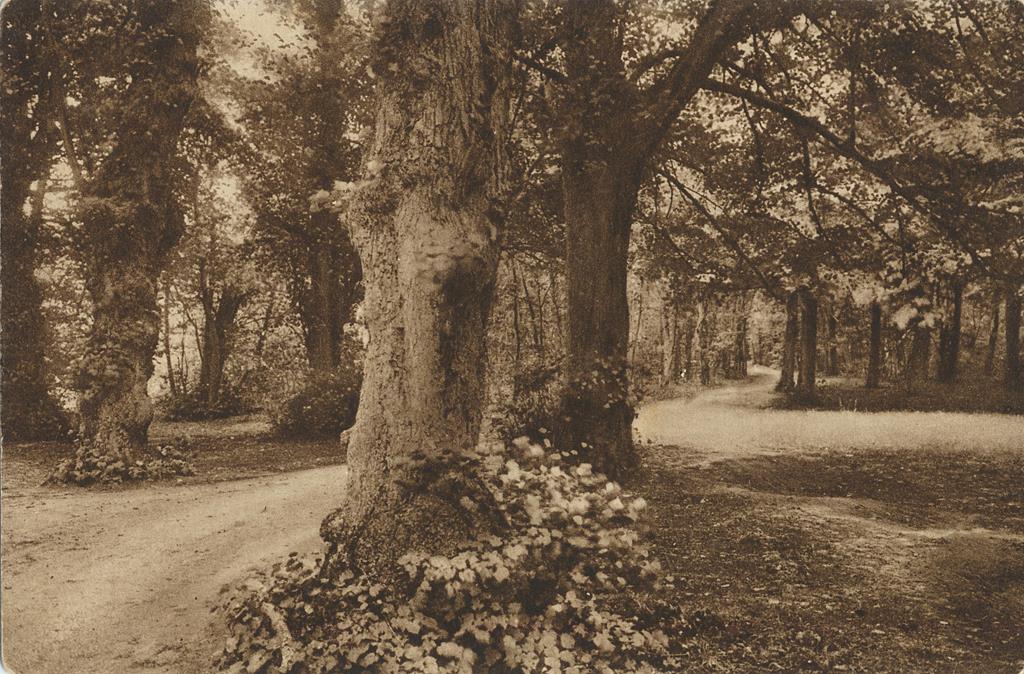 KRST001-1526_0.jpg Bergen - Mooi Bergen - De Roodeweg [001-1526