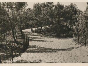 Schoorl - Omgeving Jeugdherberg [001-1528
