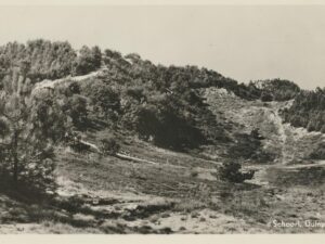 Schoorl - Duinpan [001-1529