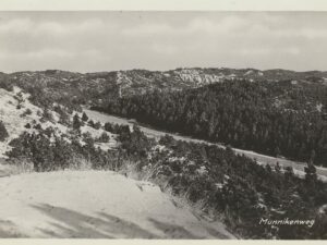 Schoorl - Schoorlsche Zeeweg [001-1530