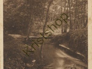 Aan eene Veluwsche Beek [001-1635