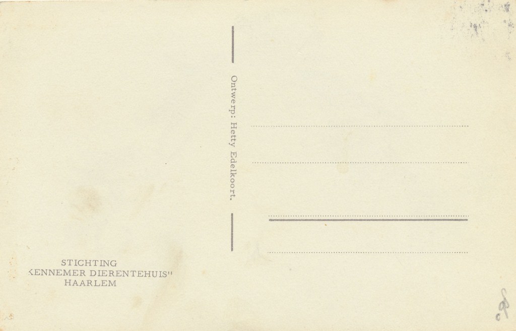 KRST001-2098_1.jpg Haarlem - Stichting Kennemer Dierentehuis [001-2098 - Afbeelding 2