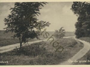 Veluwe [001-2120