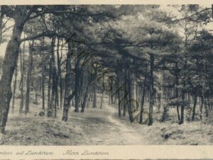 Lunteren [001-2134