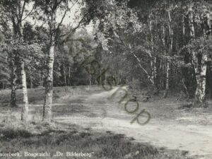 Oosterbeek  [001-2158