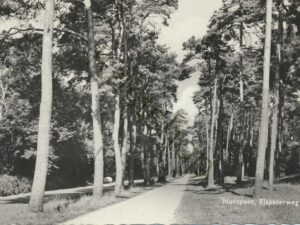 Nunspeet  [001-2159