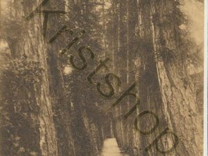 Oosterbeek  [001-2176