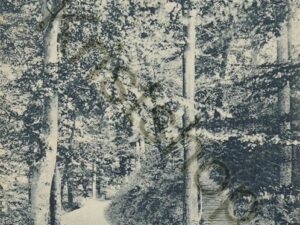 Montferland - Rustieke Trap  [001-2242