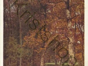 Nunspeet  [001-2251