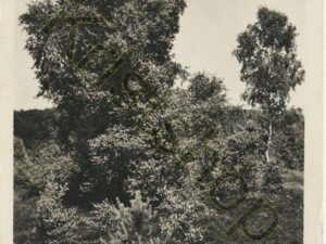 Oosterbeek [001-2265