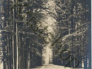 De Steeg - Middachtenallee [001-2274