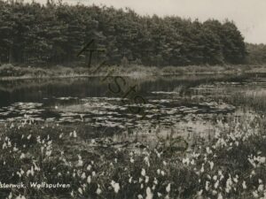 Oisterwijk - Wolfsputven  [001-2306