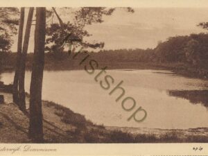 Oisterwijk - Diaconieven [001-2349
