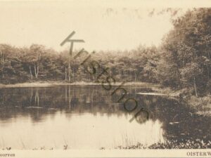 Oisterwijk - Choorven [001-2359