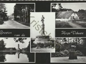 Hoge Veluwe [001-2417