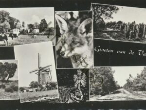 De Veluwe [001-2418