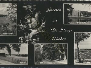Rheden [001-2456
