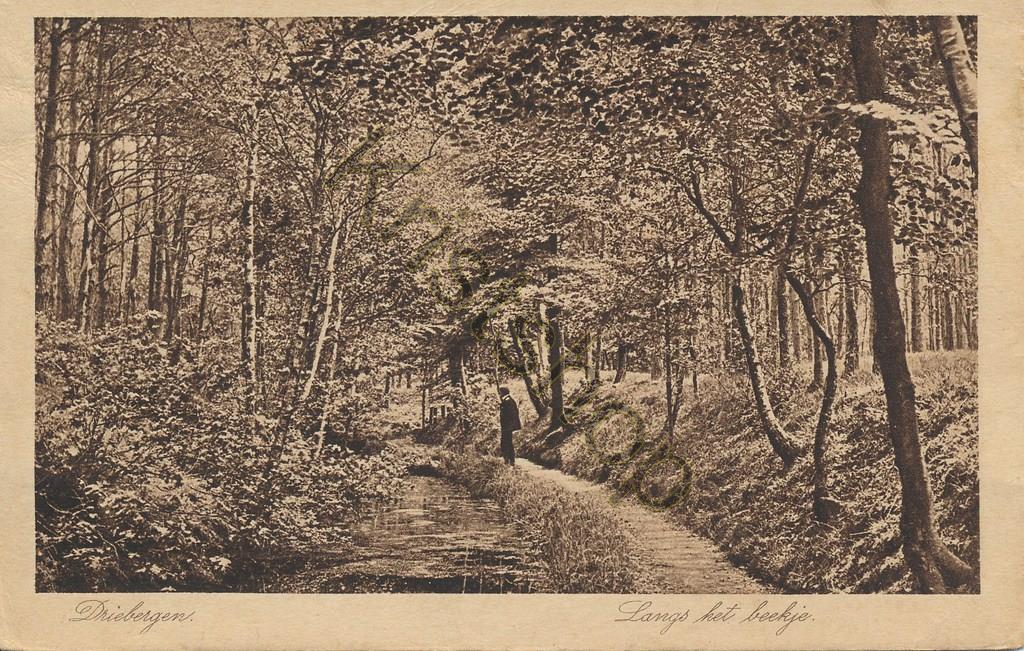 KRST001-2685_0.jpg Driebergen - Langs het beekje [001-2685