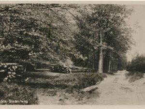 Doorn - Stamerweg [001-2711