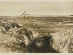 Texel - De Slufter [001-2733
