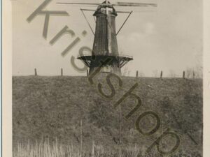 Gorinchem - Voorjaar in 't Paardenwater (scheurtje) [001-2931