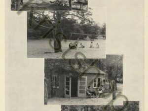Lunteren - DE WILDWAL [001-2980