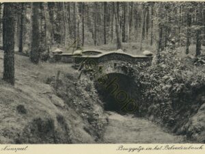 Nunspeet - Bruggetje in het Belvedèrebosch [001-3001